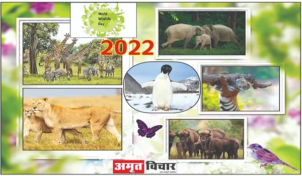 World Wildlife Day 2022: लुप्तप्राय वनस्पतियों और जीवों की प्रजातियों के संरक्षण के लिए मनाया जाता है विश्व वन्यजीव दिवस
