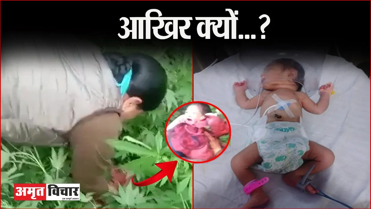 बरेली: मां… मुझे झाड़ियों में क्यों फेंका? ये मेरे लड़की होने की सजा थी या फिर कोई मजबूरी? मैंने तो अभी दुनिया को महसूस भी नहीं किया…