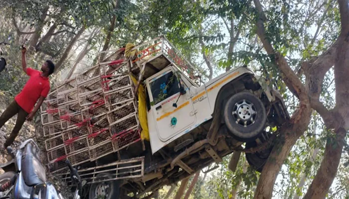 बहराइच: उर्रा बाजार में हुआ भयानक हादसा, अनियंत्रित मैजिक वाहन पेड़ पर चढ़ा, दो घायल