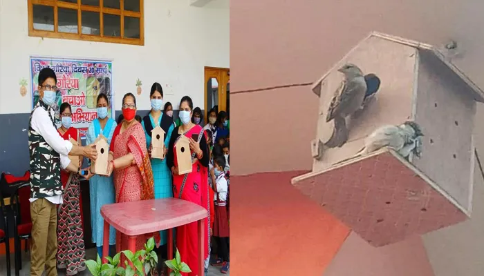 विश्व गौरैया दिवस: गौरैया को बचाने के लिए कर रहे मेहनत, जगह-जगह चल रहा जागरूकता कार्यक्रम