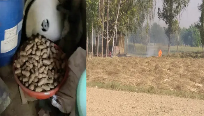 बाराबंकी: पटाखा फैक्ट्री में विस्फोट, एक महिला सहित दो जख्मी