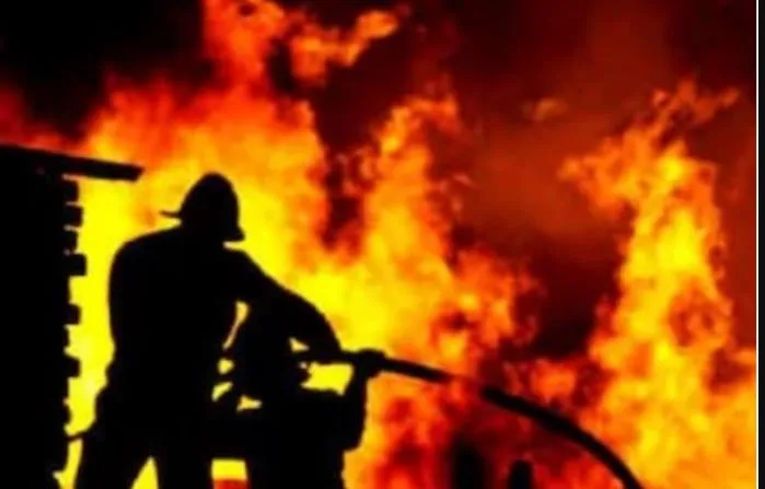 अमरेली में शेरों के अभयारण्य के पास लगी आग, कोई हताहत नहीं 