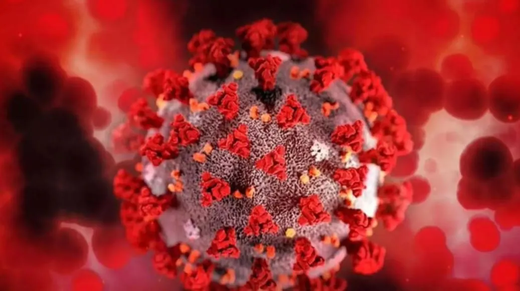 देश में पिछले 24 घंटों में कोरोना के 2,876 नए मामले आए सामने, 98 लोगों की मौत