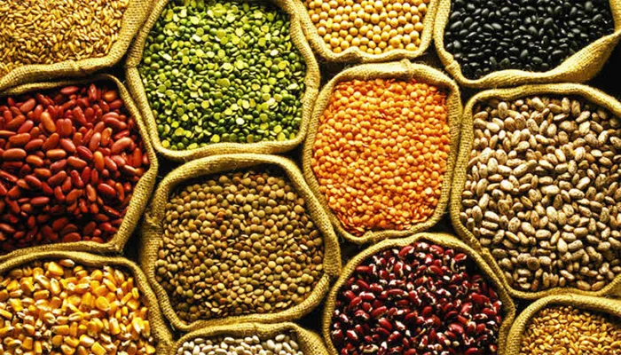 Lifestyle Tips : अगर बनानी है बॉडी, तो करें इन दालों का सेवन