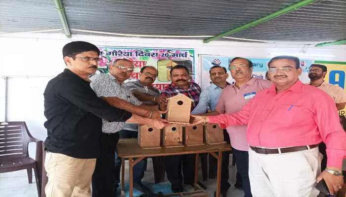 छोटे पेड़ों को काटे जाने से गौरैया के प्रजनन में आ रही कमी: लखमानी