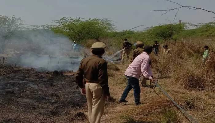 उन्नाव: संदिग्ध परिस्थितियों में वन विभाग के जंगल में लगी आग, मचा हड़कंप