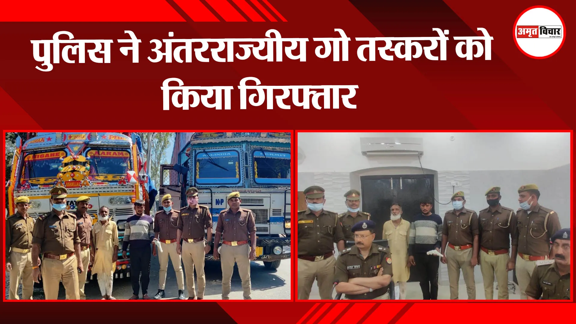 हरदोई: पुलिस ने अंतरराज्यीय गो तस्करों को किया गिरफ्तार