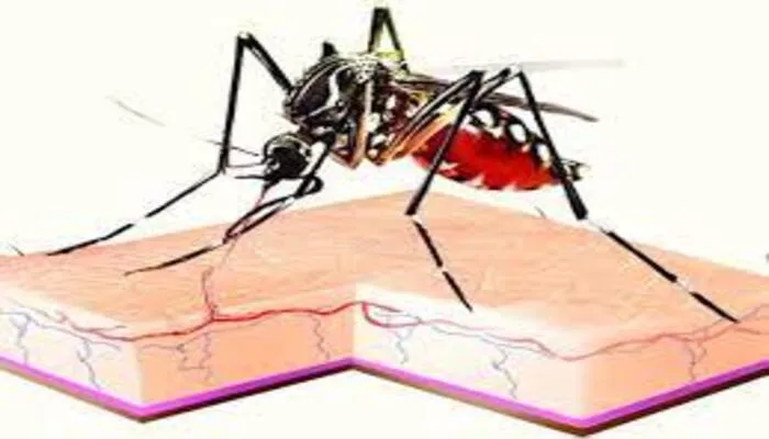 सीतापुर: दो से 30 अप्रैल तक चलेगा विशेष संचारी रोग नियंत्रण माह