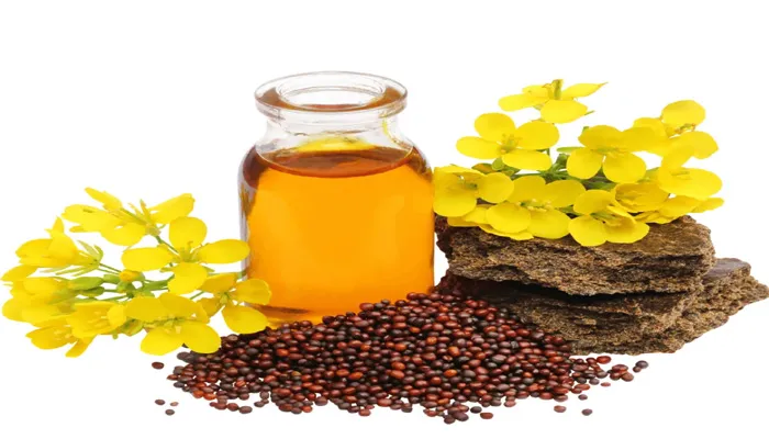 बालों में सरसों का तेल लगाने से पहले जान लें ये बातें, हो सकते हैं यह भारी नुकसान