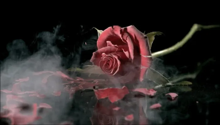 दोनों जहान तेरी मोहब्बत में हार के