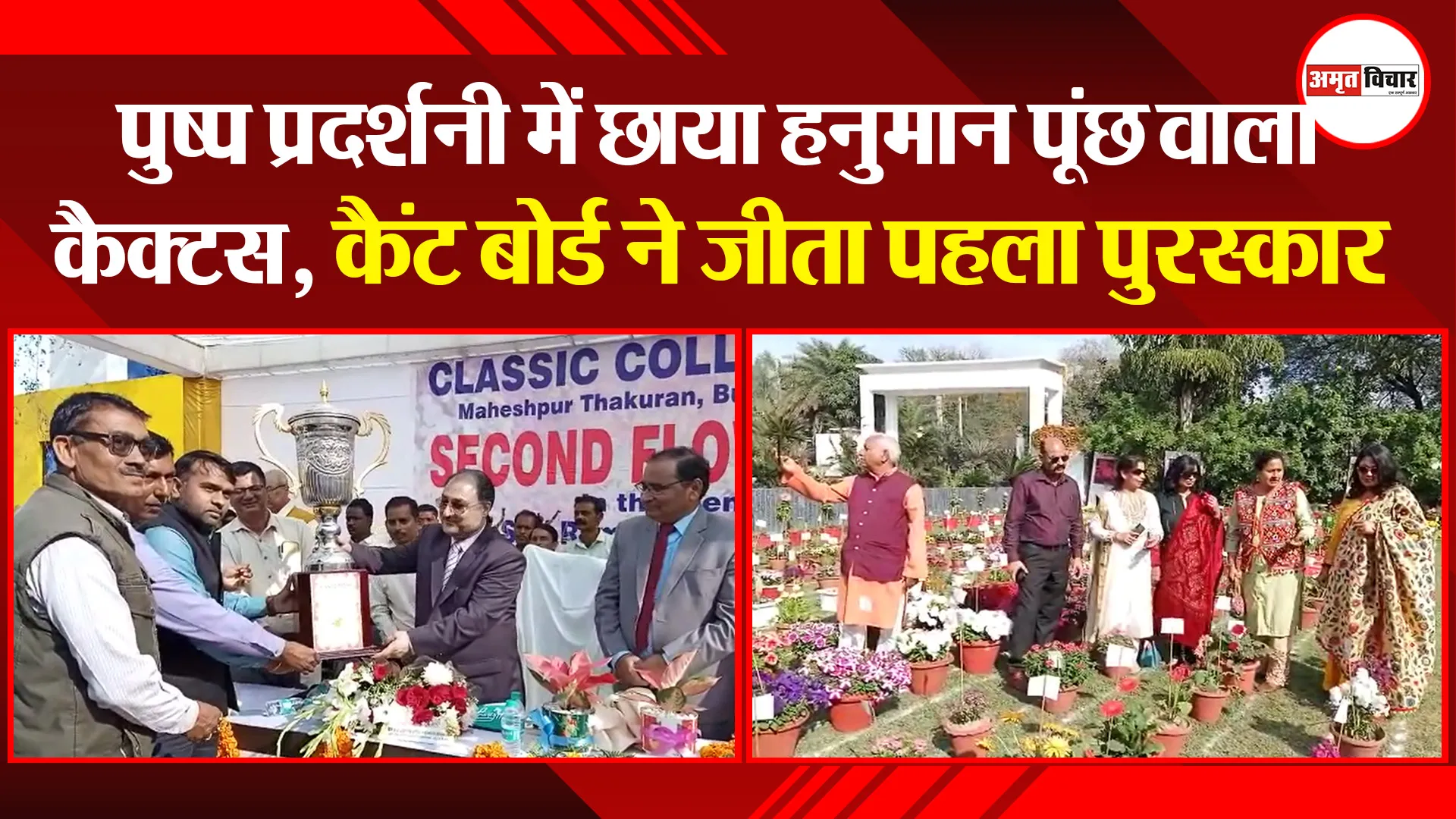 बरेली: पुष्प प्रदर्शनी में छाया हनुमान पूंछ वाला कैक्टस, कैंट बोर्ड ने जीता पहला पुरस्कार