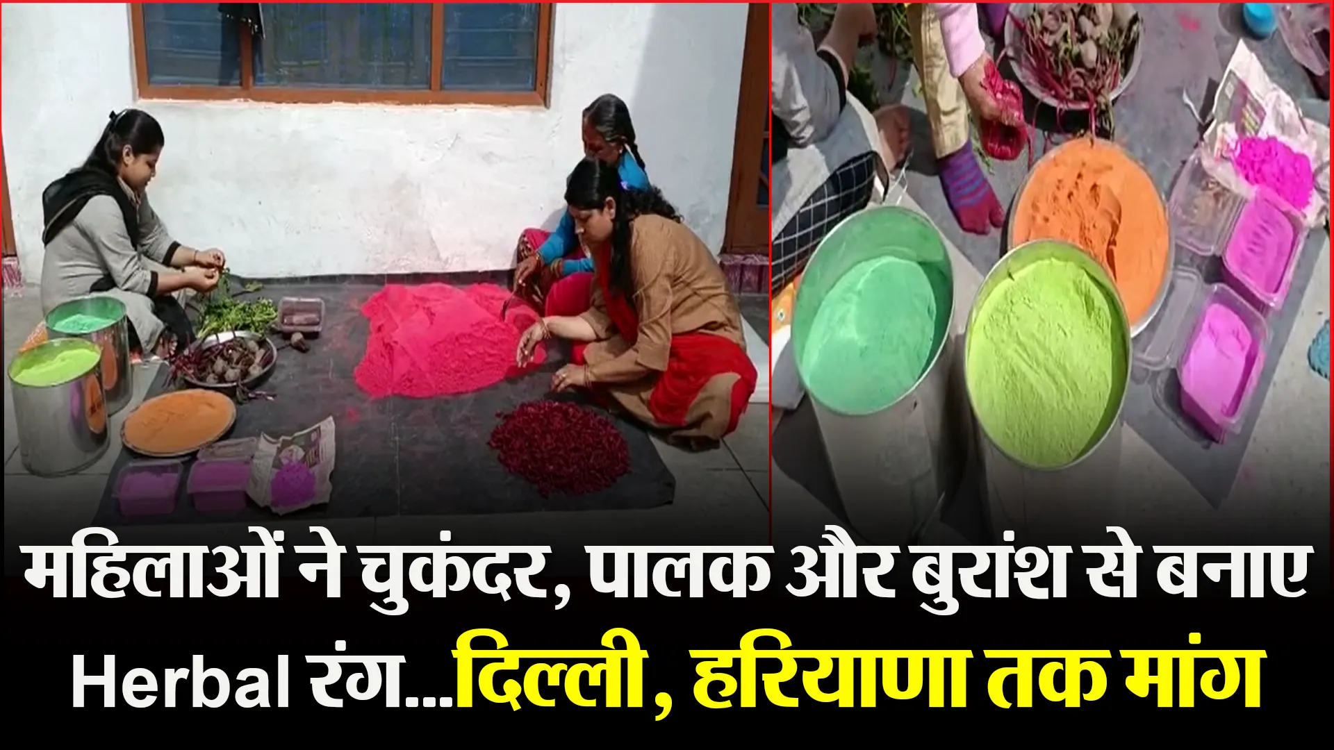 हल्द्वानी: महिलाओं ने चुकंदर, पालक और बुरांश से बनाए Herbal रंग…दिल्ली, हरियाणा तक मांग