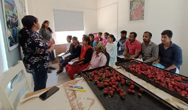 मुरादाबाद: किशोरियों को सिखाया स्ट्रॉबेरी से जैम और ड्रिंक बनाना