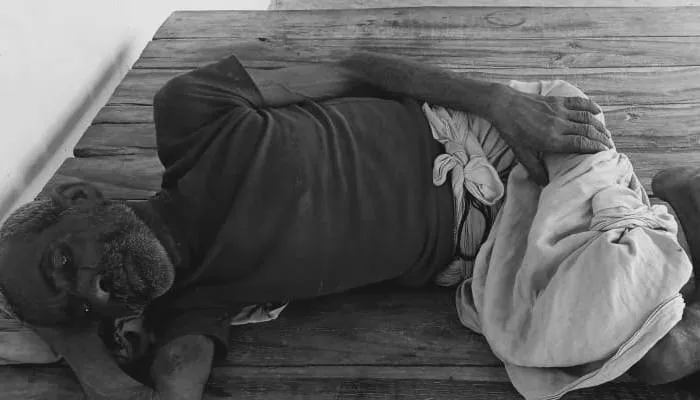 बहराइच: मधुमक्खियों के हमले से पांच श्रमिक घायल, ग्रामीणों में दहशत