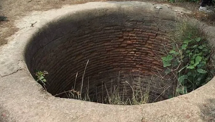 सीतापुर: मधुमक्खियों से बचने के लिए कुएं में कूदा किसान, मौत