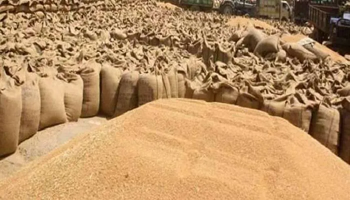 अयोध्या: गेहूं का हश्र भी धान खरीद की तरह होने के आसार, अभी तक सिर्फ 315 किसानों का पंजीकरण