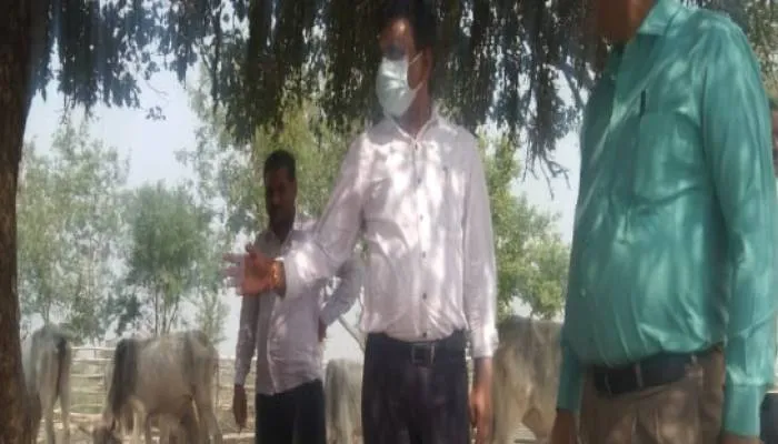 बहराइच: गो आश्रय स्थल में प्यास से तड़प रहे थे गोवंश, डीएम के निर्देश पर पहुंचे एसडीएम ने भरवाया पानी