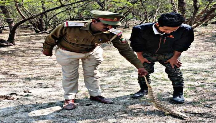 हरदोई: छिपकली जैसा दिखने वाले जानवर का किया गया सुरक्षित रेस्क्यू