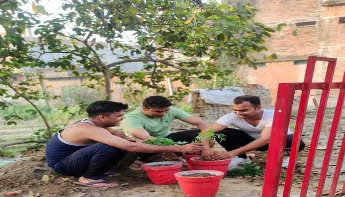 रायबरेली: अंतर्राष्ट्रीय वन दिवस पर पुलिस चौकी में पौधरोपण कर दिया संदेश