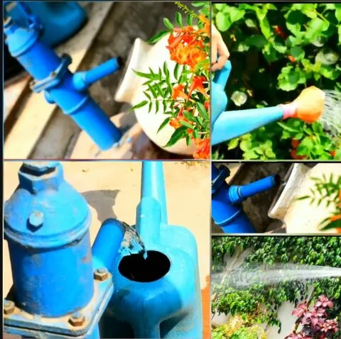 विश्व जल दिवस 2022: वर्षा जल संरक्षण करने वाले परिवारों को पानी के बिल में 10 फीसदी छूट देने की उठी मांग