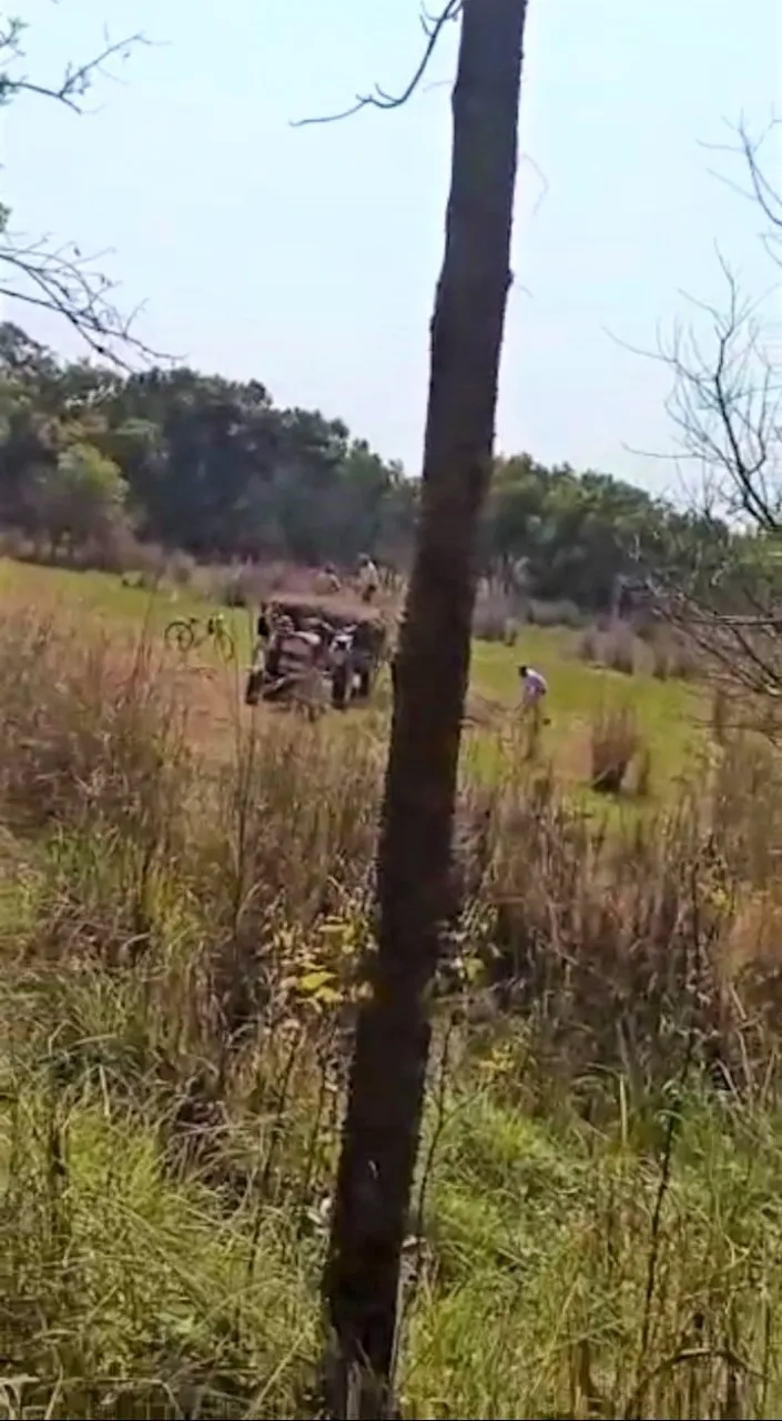 पीलीभीत: दियोरिया रेंज से घास निकासी का वीडियो वायरल