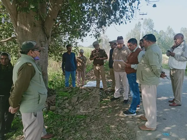 मुरादाबाद : पेड़ पर चढ़े तेंदुए की करंट लगने से मौत, मुनीमपुर के जंगल में हुआ हादसा