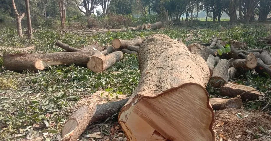 पर्यावरण की चुनौती