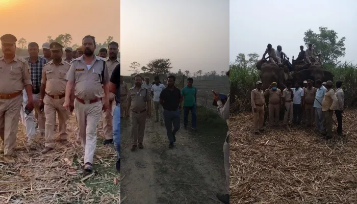 बहराइच: दो दिन लगातार तेंदुए के आने के बाद वन विभाग ने शुरू कराई कांबिंग, लोगों को किया जागरूक