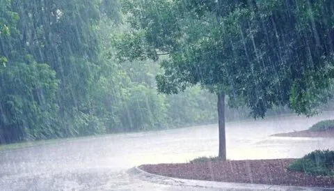मुक्तेश्वर और धारी में हुई झमाझम बारिश, हल्द्वानी में इंतजार