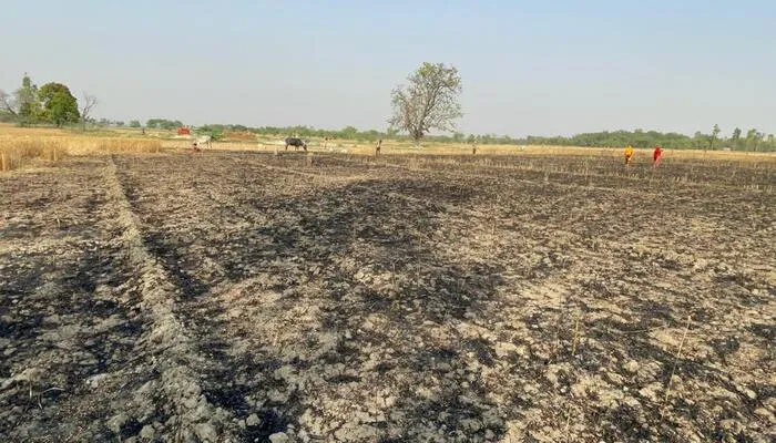 रायबरेली में दो स्थानों पर हुई आग की घटनाएं, 11 बीघे फसल जलकर राख, हड़कंप