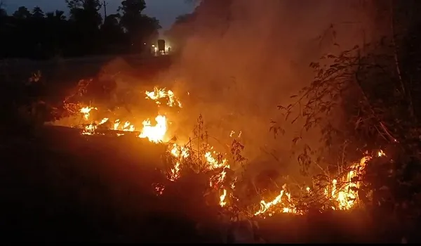 अमरोहा : हाईवे किनारे अचानक झाड़ियों में लगी आग