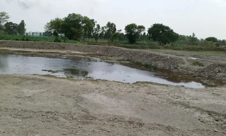 बरेली: जल संरक्षण के लिए तालाबों को बांध व नहर से जोड़ा जाएगा