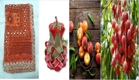 उत्तराखंड: कुमाऊंनी पिछौड़ा, मोमबत्ती, लीची और आडू को मिलेगी वैश्विक पहचान, ये है वजह