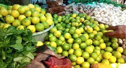 हल्द्वानी: नींबू के दाम से दांत हुए खट्टे, 20 रुपये में बिक रहा एक नींबू