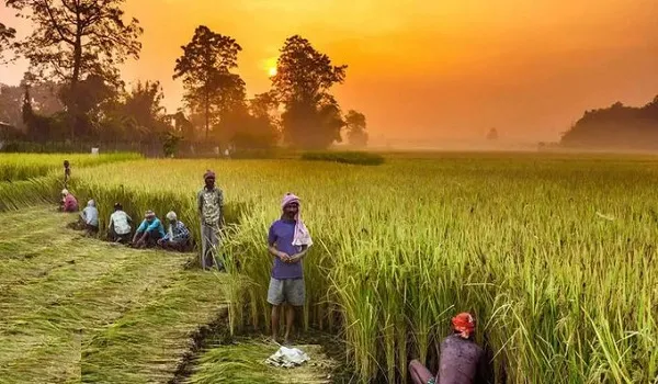 भारत के सात राज्यों के दौरे पर इजरायल के कृषि अधिकारी, स्मार्ट प्रौद्योगिकियों के बारे में लेंगे जानकारी