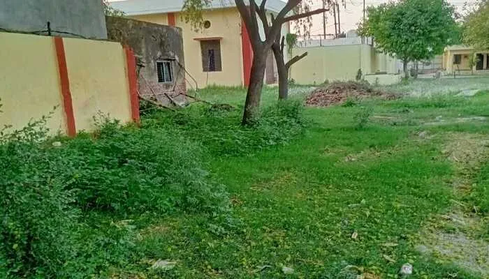 उन्नाव: दीनदयाल स्पोर्ट्स स्टेडियम हुआ खस्ताहाल, उग आईं झाड़ियां, डीएम की फटकार का भी मातहतों पर नहीं पड़ा असर