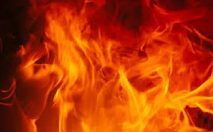 ठाणे में लकड़ी के गोदाम में आग लगी, कोई हताहत नहीं