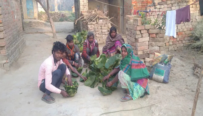 अयोध्या: वनराजा समुदाय के लोग पत्तों से दोना-पत्तल बना कर रहे परिवार का भरण पोषण