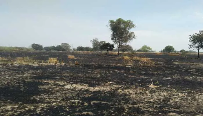 फतेहपुर में दिखा आग का तांडव, 30 बीघा फसल जलकर हुई राख