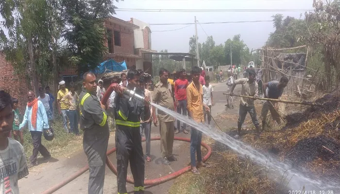 बाराबंकी: हाईटेंशन लाइन से निकला आग का गोला, चपेट में आए 5 हरे पेड़