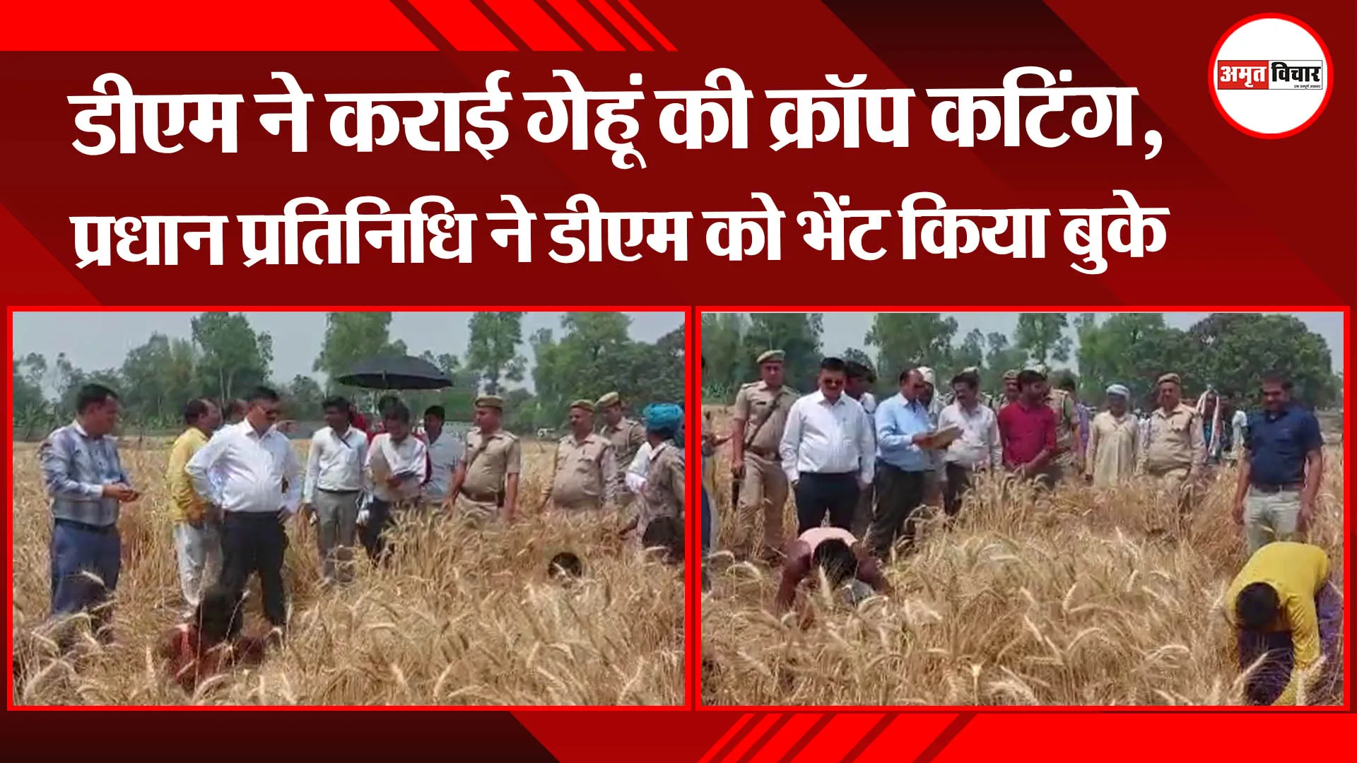 बहराइच: डीएम ने कराई गेहूं की क्रॉप कटिंग, प्रधान प्रतिनिधि ने डीएम को भेंट किया बुके