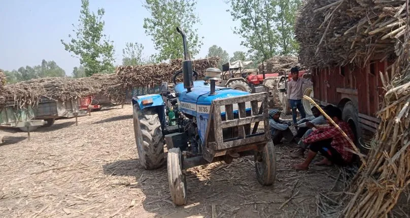 बरेली: समय से गन्ना तौल न होने पर रहना पड़ा रहा भूखा प्यासा