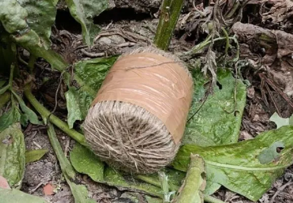 भागतलपुर में सिपाही प्रशिक्षण स्कूल के निकट मिले चार संदिग्ध बम, मौके पर पहुंचा बम निरोधक दस्ता