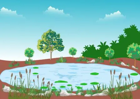 बरेली: बारिश से पहले खोदे जायेंगे 258 तालाब, किया जायेगा जल संचयन