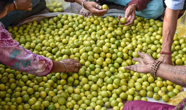 बरेली: नीबू के दाम में खेल, फुटकर विक्रेता वसूल रहे दोगुने दाम
