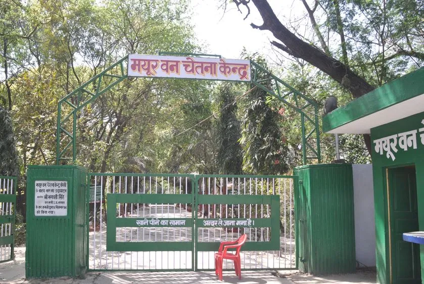 बरेली: पर्यटन का केंद्र बनाने को विकसित किया जाएगा मयूर वन चेतना