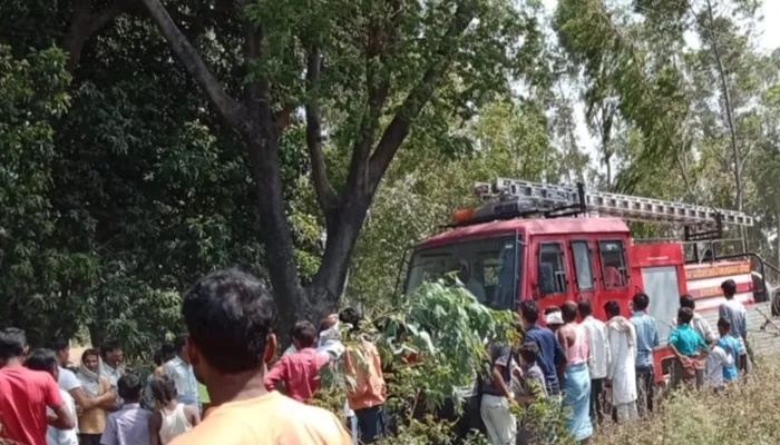 हरदोई: बिजली की चिंगारी ने राख कर दी 7.5 एकड़ गेहूं की फसल, बमुश्किल पाया गया आग पर काबू