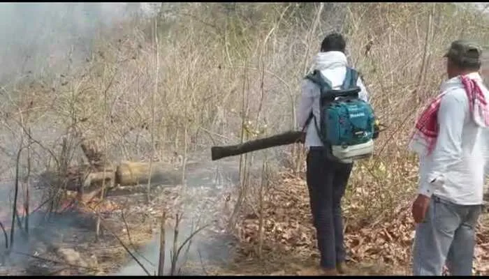 बहराइच: जंगल में आग लगने पर अब झाड़ियों का सहारा नहीं लेंगे वनकर्मी, इस विधि से रोकेंगे आग