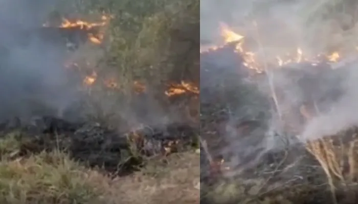 आगरा: अज्ञात कारणों से जंगल में लगी आग, पुलिस और वन कर्मियों ने ग्रामीणों के सहयोग से आग पर पाया काबू
