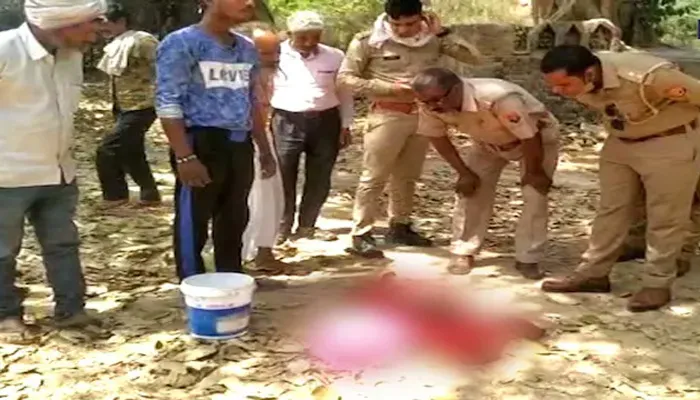 इटावा: नवजात बच्ची के शव को यमुना में फेंका, कुत्तों ने बनाया निवाला, महंत ने पुलिस को दी सूचना